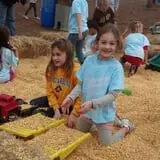 Gallberry Corn Maze photo