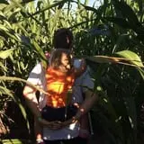 Gallberry Corn Maze photo
