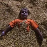 Gallberry Corn Maze photo