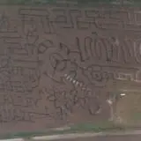 Gallberry Corn Maze photo