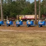 Gallberry Corn Maze photo