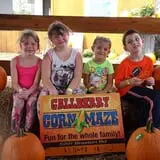 Gallberry Corn Maze photo