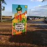 Gallberry Corn Maze photo