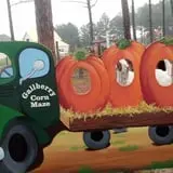 Gallberry Corn Maze photo