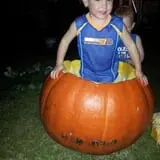 Gallberry Corn Maze photo