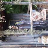 13th Hour Rising Haunted Hayride photo