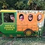 Dave's Pumpkins photo