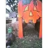 Dave's Pumpkins photo