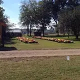 Limoland Pumpkin Patch photo