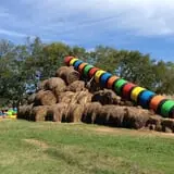 Limoland Pumpkin Patch photo