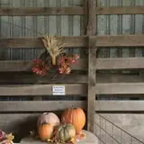 Limoland Pumpkin Patch photo