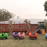 Limoland Pumpkin Patch photo