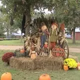Limoland Pumpkin Patch photo