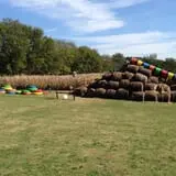 Limoland Pumpkin Patch photo