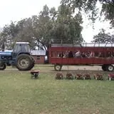 Limoland Pumpkin Patch photo
