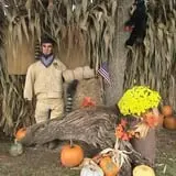 Limoland Pumpkin Patch photo