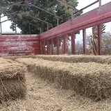 Limoland Pumpkin Patch photo