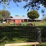 Limoland Pumpkin Patch photo