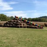Limoland Pumpkin Patch photo