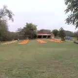 Limoland Pumpkin Patch photo