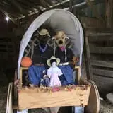 Limoland Pumpkin Patch photo