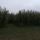 Limoland Pumpkin Patch photo