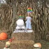 Limoland Pumpkin Patch photo