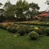 Limoland Pumpkin Patch photo