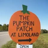 Limoland Pumpkin Patch photo
