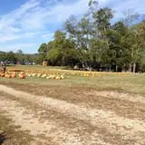Limoland Pumpkin Patch photo