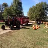 Limoland Pumpkin Patch photo
