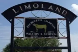 Limoland Pumpkin Patch