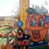 Maxwell's Pumpkin Farm photo