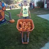 Maxwell's Pumpkin Farm photo