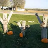 Maxwell's Pumpkin Farm photo