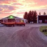 Maxwell's Pumpkin Farm photo