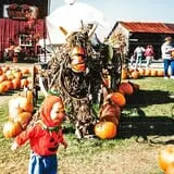 Maxwell's Pumpkin Farm photo
