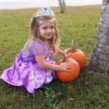 Maxwell's Pumpkin Farm photo