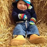 Maxwell's Pumpkin Farm photo