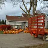 Maxwell's Pumpkin Farm photo