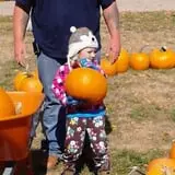 Maxwell's Pumpkin Farm photo