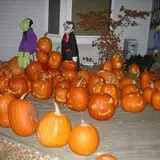 Maxwell's Pumpkin Farm photo