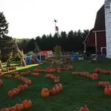 Maxwell's Pumpkin Farm photo