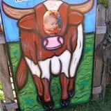 Maxwell's Pumpkin Farm photo