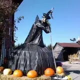 Maxwell's Pumpkin Farm photo
