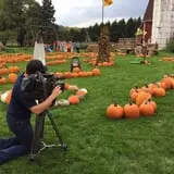 Maxwell's Pumpkin Farm photo