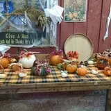 Maxwell's Pumpkin Farm photo