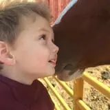 Maxwell's Pumpkin Farm photo