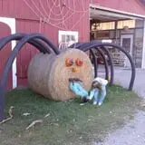 Maxwell's Pumpkin Farm photo