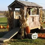Maxwell's Pumpkin Farm photo